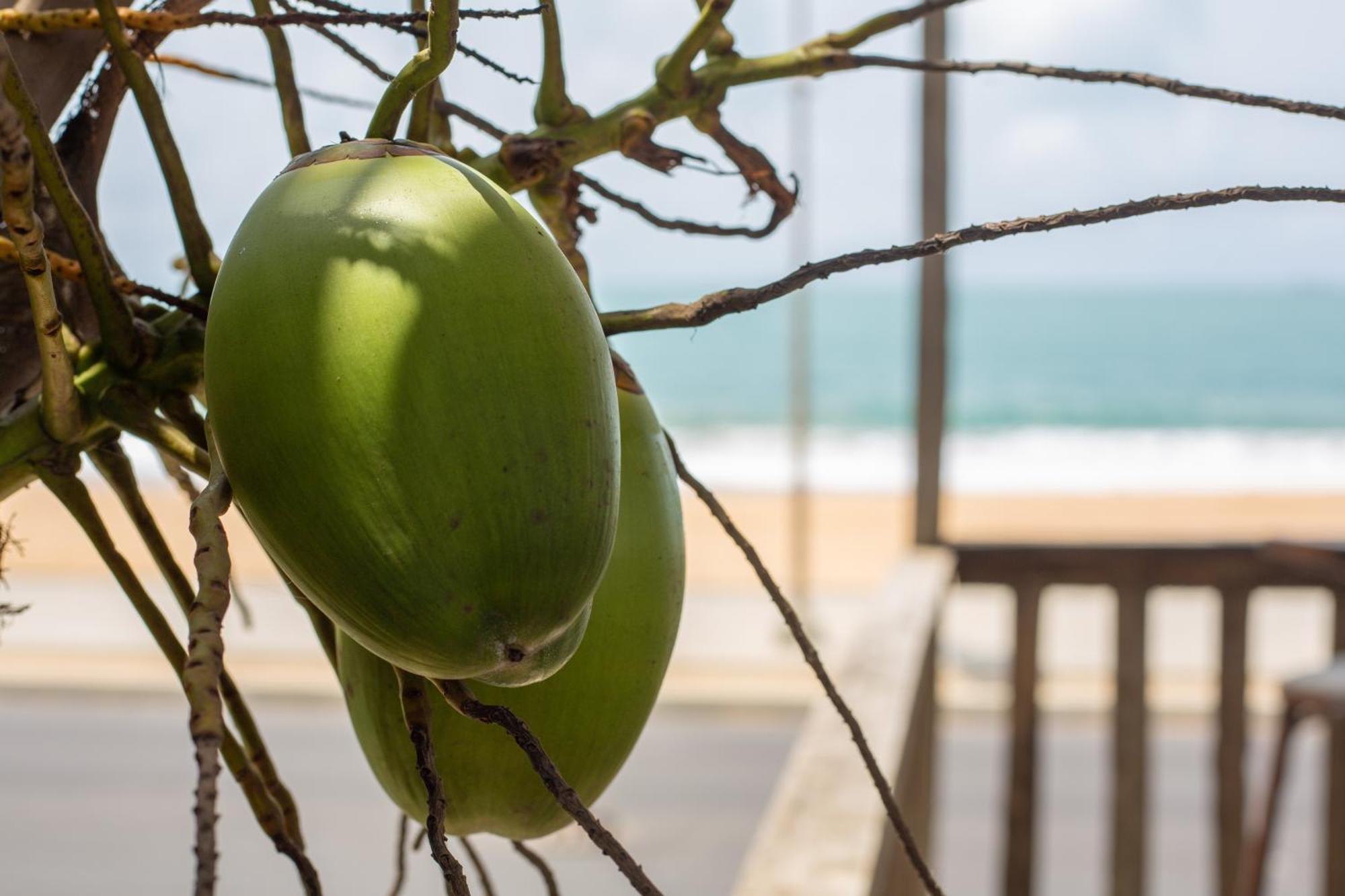 Tahiti Hotel Cotonou Exterior photo